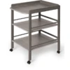 Geuther Carrito Estantería Cambiador Clarissa Gris Oscuro 1 Geuther Carrito Estantería Cambiador Clarissa Gris Oscuro -Tienda De Mesa De Pañales geuther carrito estanteria cambiador clarissa gris oscuro a115559