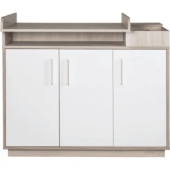 Roba Cambio De Unidad Olaf